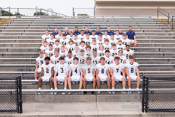 TCP_0651_DHSVarFball