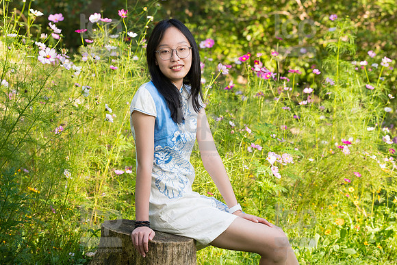 TCP_6336A