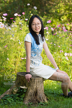 TCP_6337