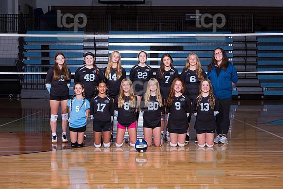 TCP_1415_LCJC7AVball