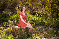 TCP_1784