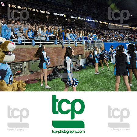 TCP_4938_113019