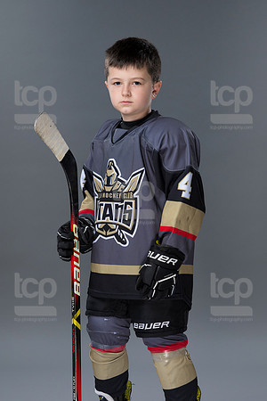 TCP_8528_66