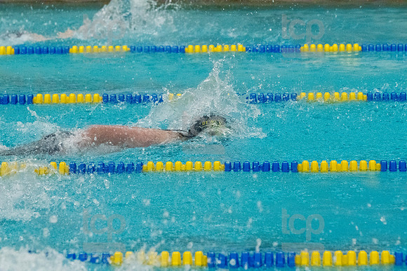 TCP_5667_011824