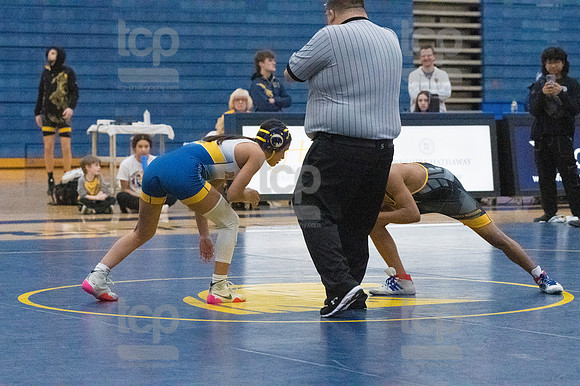 TCP_2496_013124