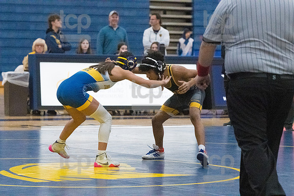 TCP_2497_013124