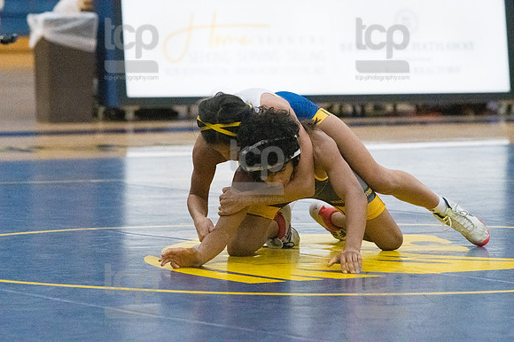 TCP_2512_013124