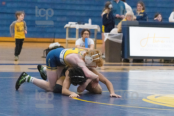 TCP_2741_013124