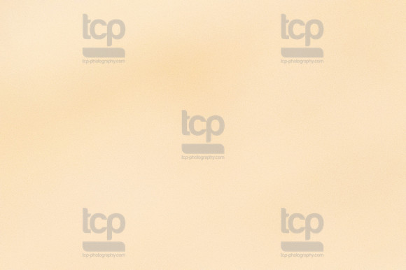 TCP_2746_013124