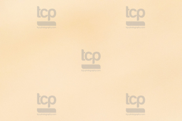 TCP_2747_013124