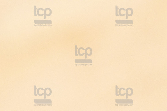 TCP_2748_013124