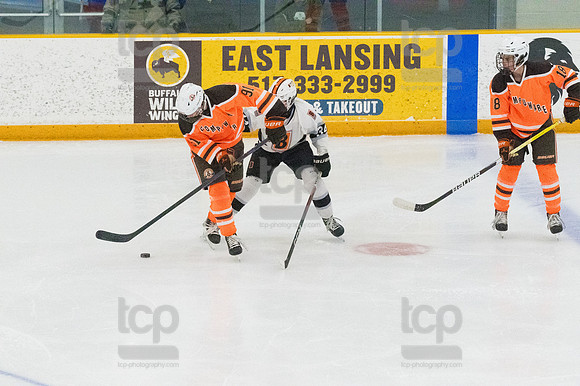 TCP_5590_020824