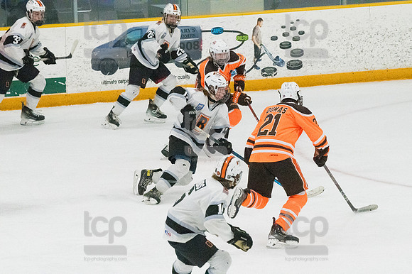 TCP_5911_020824