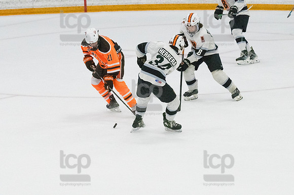 TCP_6181_020824