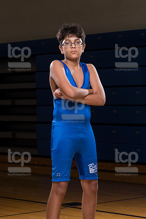 TCP_0351_29