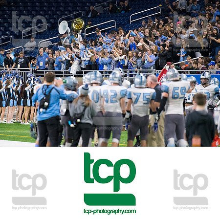 TCP_6291_113019