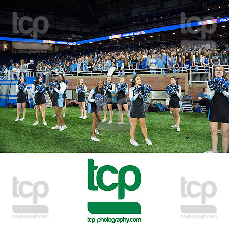 TCP_4833_113019