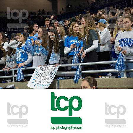 TCP_4782_113019
