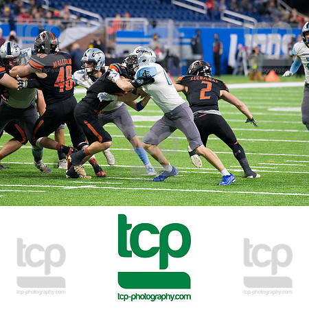 TCP_6335_113019
