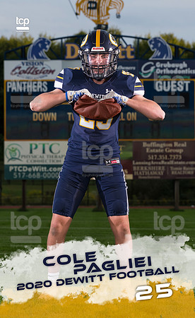 TCP_3797_13_3x5BannerB_Pagliei