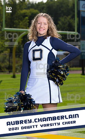TCP_3648_3x5BannerD_Chamberlain