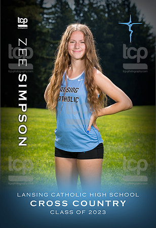 TCP_6891_6_2x3BannerA_Simpson