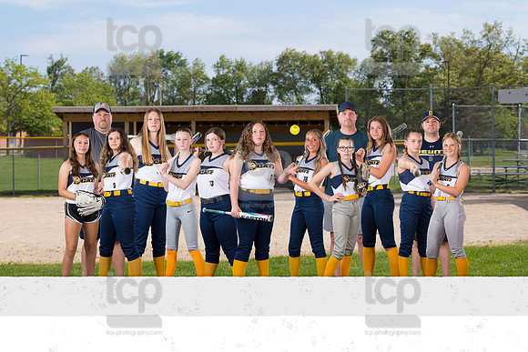 SB12UDiamondCatz