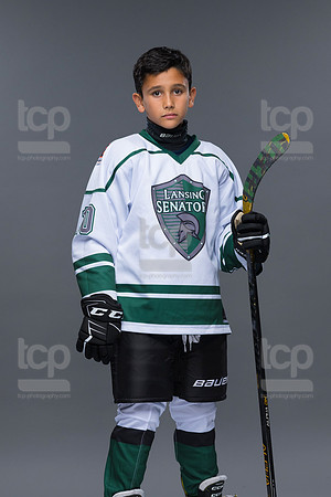 TCP_3233_34