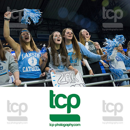 TCP_4902_113019
