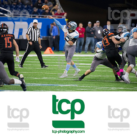 TCP_6239_113019