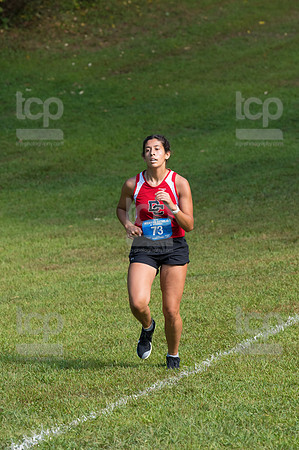 TCP_0446