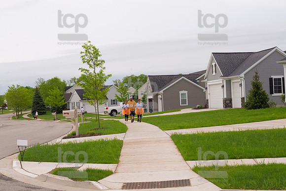 TCP_4299_BeldingAdler