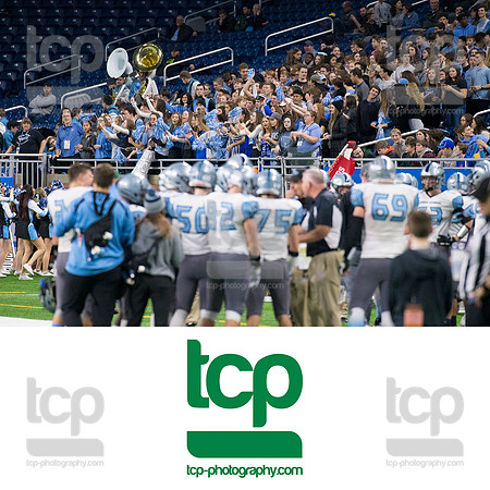 TCP_6290_113019