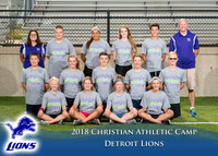 TCP_2420_Lions_5x7
