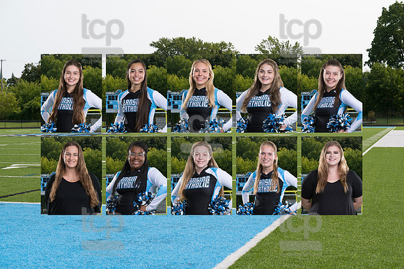 LCHSSidelineCheer_TeamComposite_Tiled