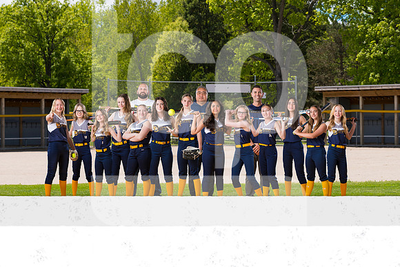 SB 12U Diamond Catz - Humm