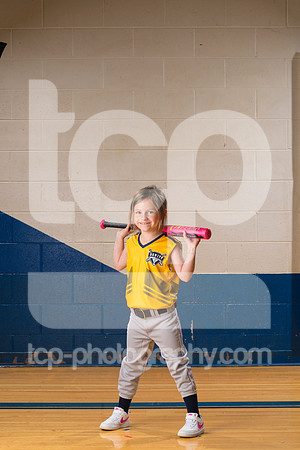 TCP_3761_226