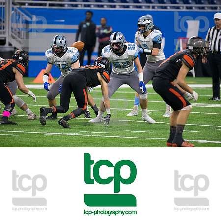 TCP_6225_113019