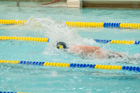 TCP_0466_021325