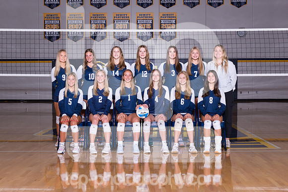 TCP_3384_DHS2425JVVball