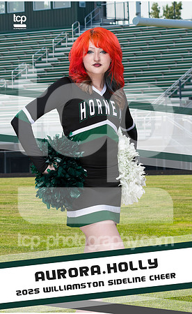 TCP_9149_6_3x5BannerD_AHolly