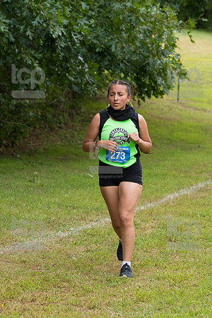 TCP_0339