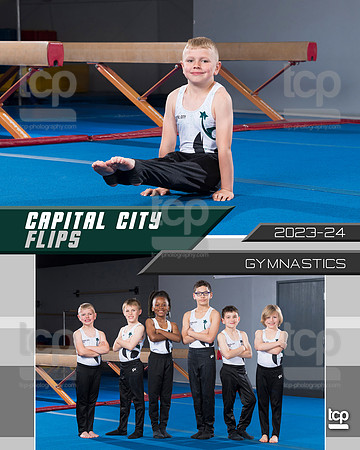 TCP_7958_13_8x10col