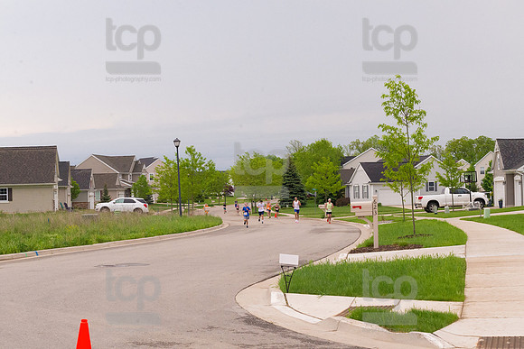 TCP_4223_BeldingAdler