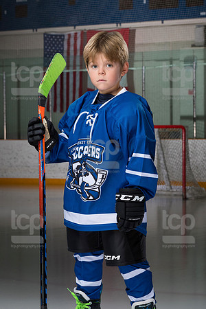 TCP_8336_27