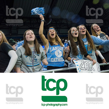 TCP_4901_113019