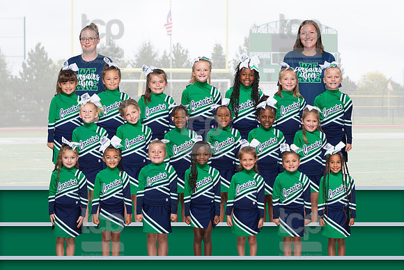 2425WaterfordFlagCheer