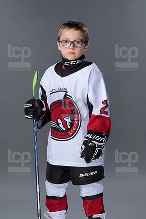 TCP_8342_28