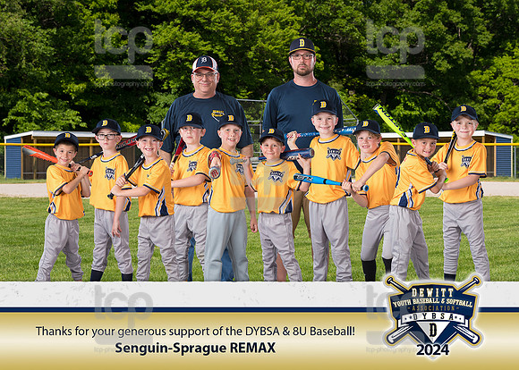DYBSA_SponsorPlaque_BB8UREMAX