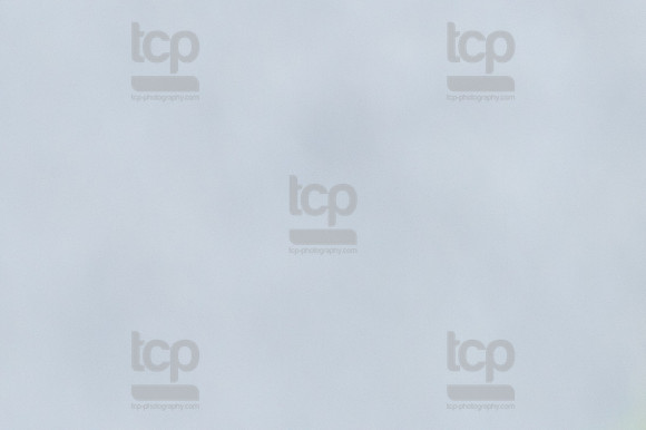 TCP_3916_051824